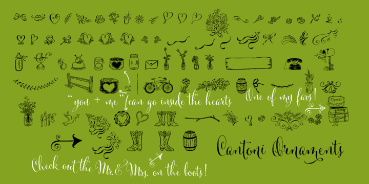 Cantoni font free download mac free